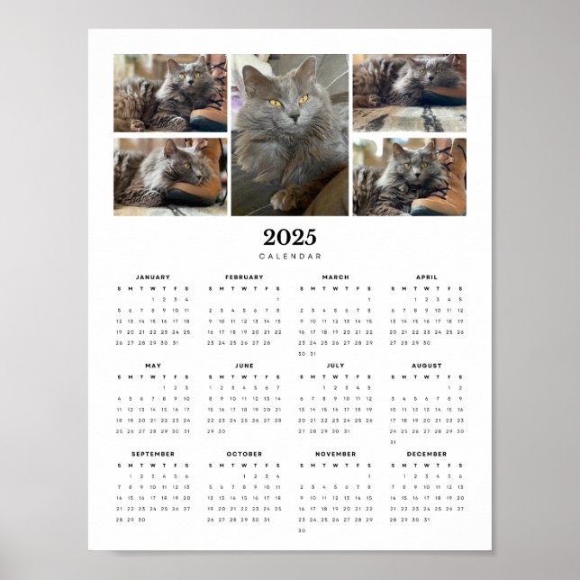 Snygg rysk blå Nebelung Cat 2025-kalender Poster (Framsidan)