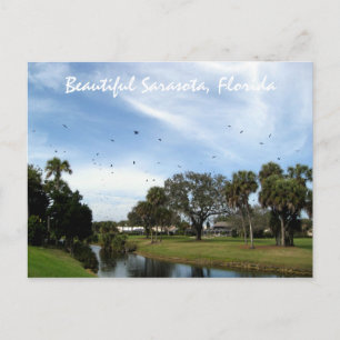 Snygg Sarasota, Florida Postcard Vykort