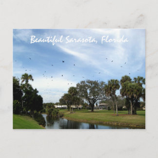 Snygg Sarasota, Florida Postcard Vykort