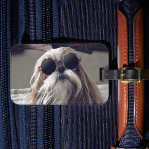 Snygg Shih Tzu lång hår vintage solglasögon Foto Bagagebricka