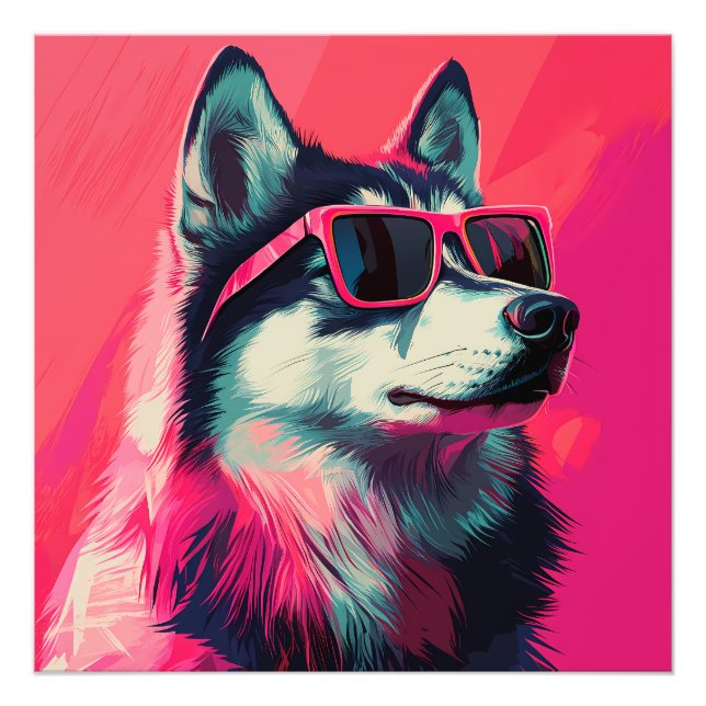 Snygg sibirisk husky hund med solglasögon fototryck (Framsidan)