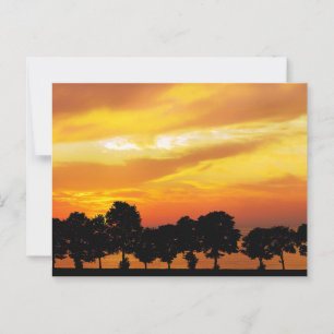 Snygg Silhouette Sunset Vykort