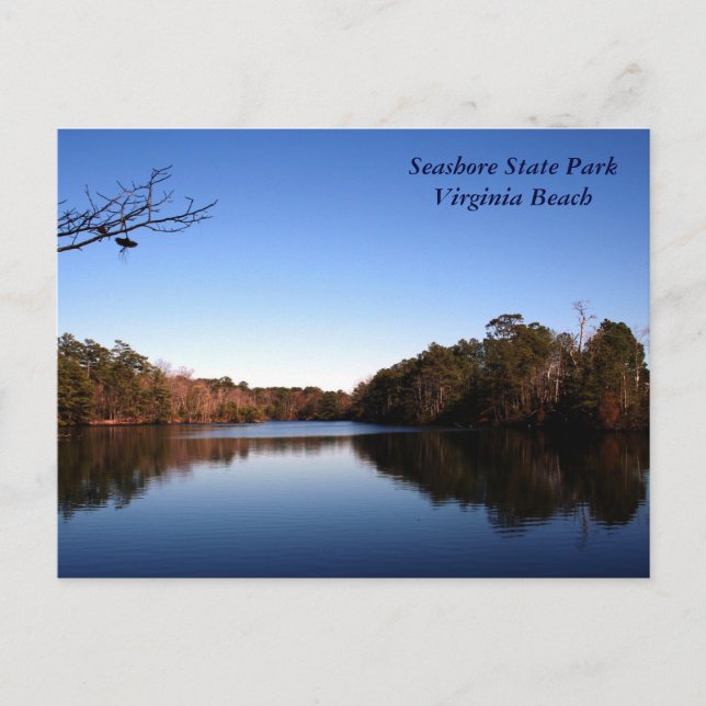 Snygg Sjö Vykort (Framsida)