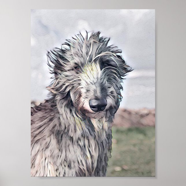 Snygg skotsk deerhound Design Poster (Framsidan)