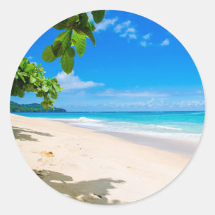 Snygg Solnys Tropical Beach Photo Runt Klistermärke