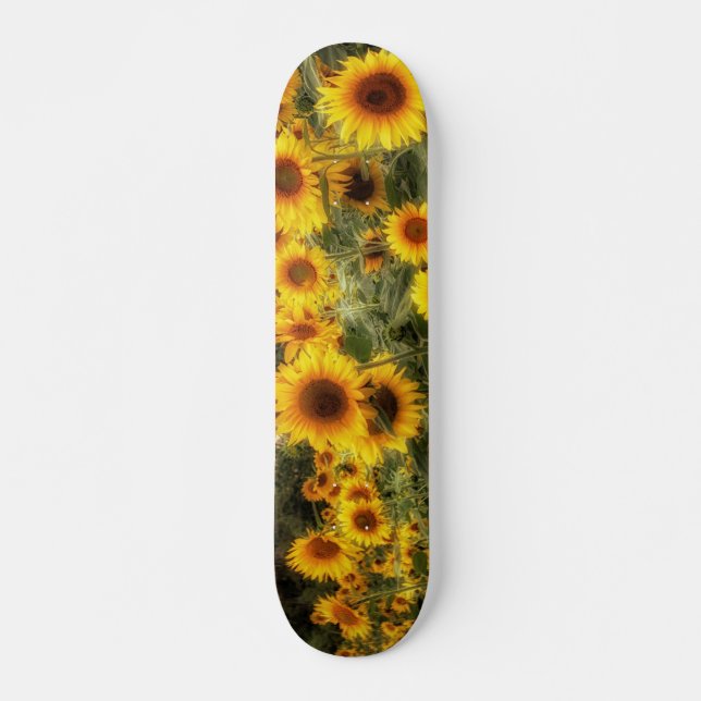 Snygg solros Fält Photo Mini Skateboard Bräda 18,5 Cm (Framsida)