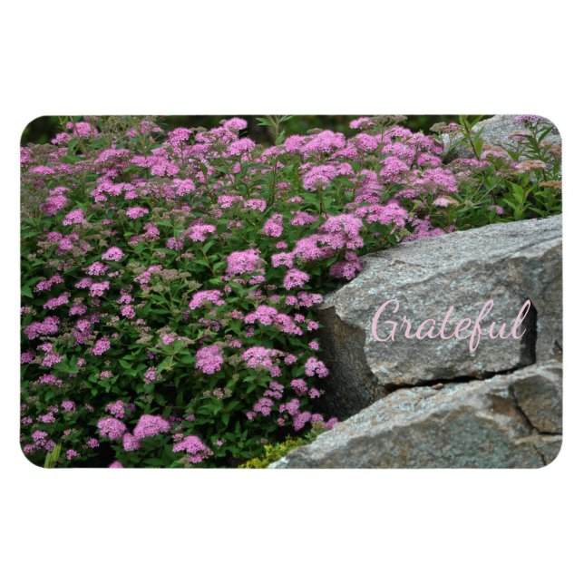 Snygg Sten Garden Gratitude Magnet (Horisontell)