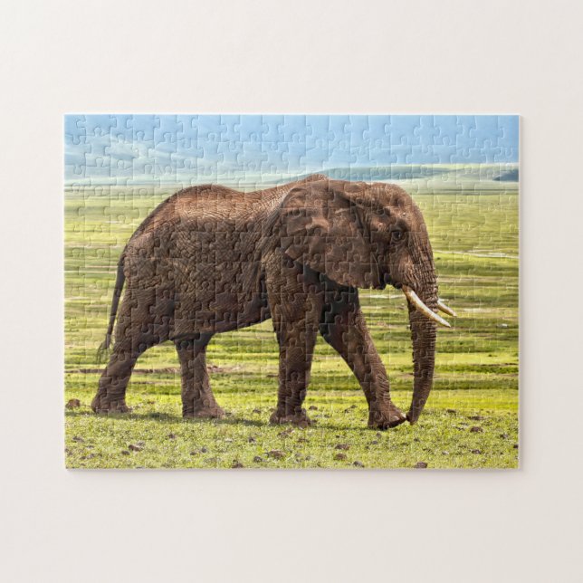Snygg stor Elephant Photo Pussel (Horisontell)