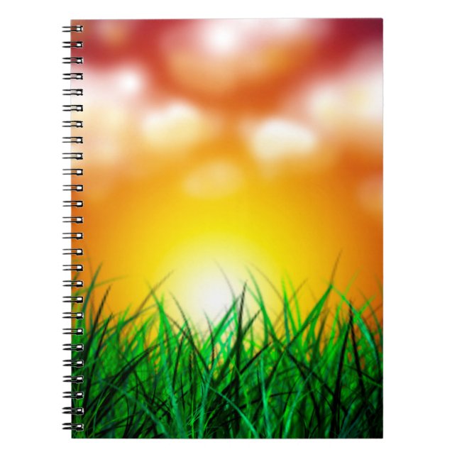 Snygg Sunrise över Fält i Grass Anteckningsbok (Framsidan)