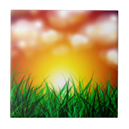 Snygg Sunrise över Fält i Grass Kakelplatta