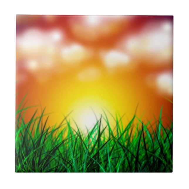 Snygg Sunrise över Fält i Grass Kakelplatta (Framsidan)