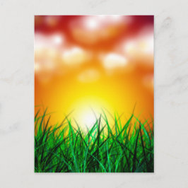 Snygg Sunrise över Fält i Grass Vykort