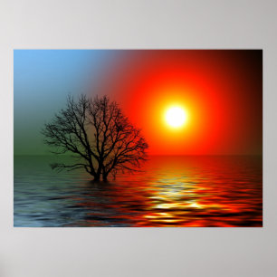 Snygg Sunset Poster