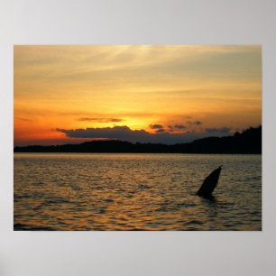 Snygg Sunset Poster