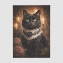 Snygg svart kattunge 