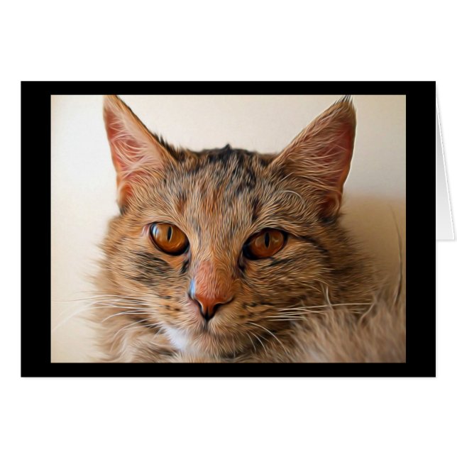 Snygg Tabby katt OBS Kort (Framsidan Horizontal)