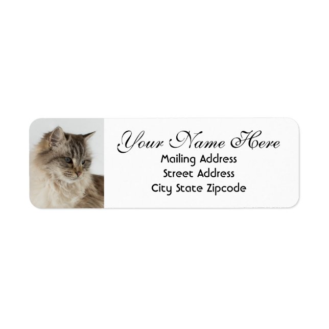 Snygg Tabby katt Returadress Returadress Etikett (Framsidan)