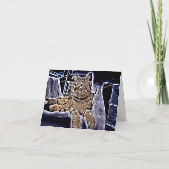 Snygg Tabby Kort (Framsida)