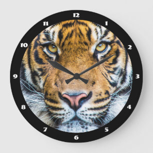 Snygg Tiger Ansikte nära Stor Klocka