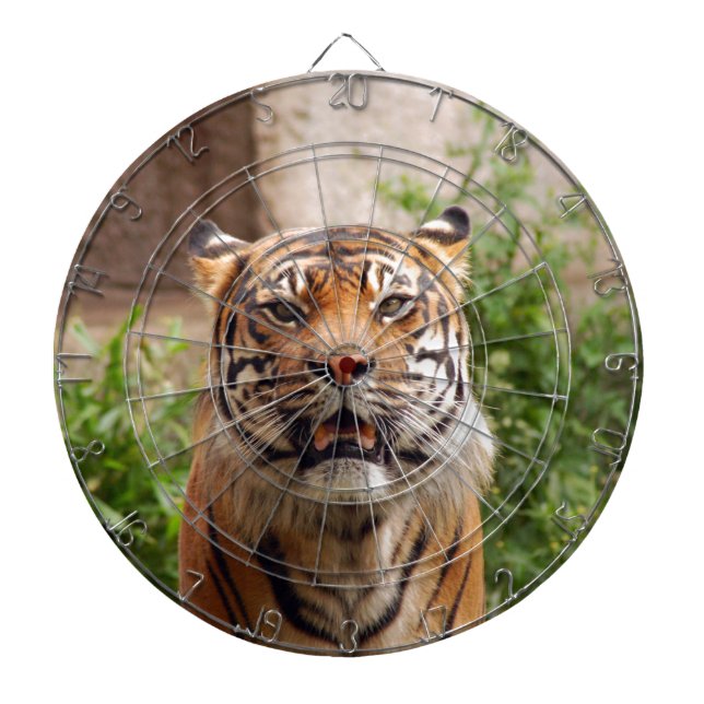 Snygg tiger ansikte-utskrift piltavla (Framsidan)