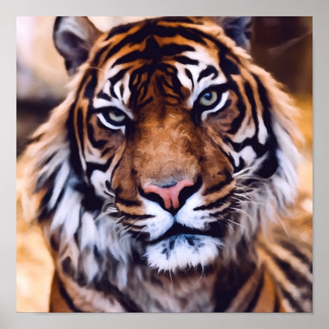 Snygg Tiger Cat Ansikte målade Wildlife Poster (Framsidan)