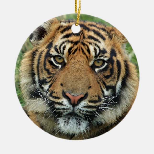 Snygg tiger julgransprydnad keramik (Framsidan)