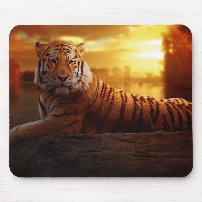 Snygg tiger musmatta (Framsidan)