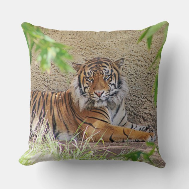 Snygg Tiger Pillow! Kudde (Framsida)