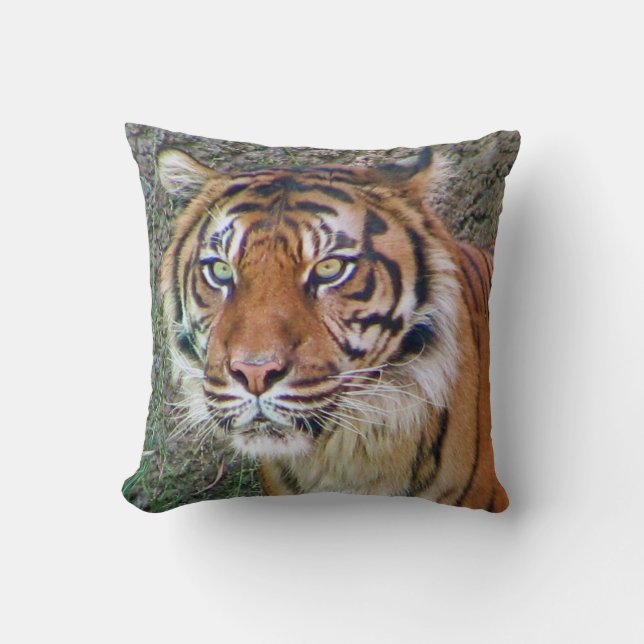 Snygg Tiger Pillow! Kudde (Framsida)