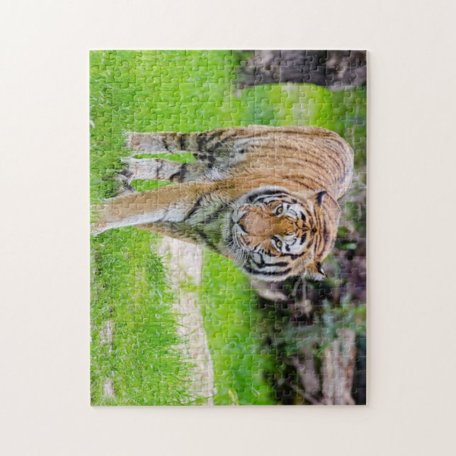 Snygg tiger pussel (Vertikal)
