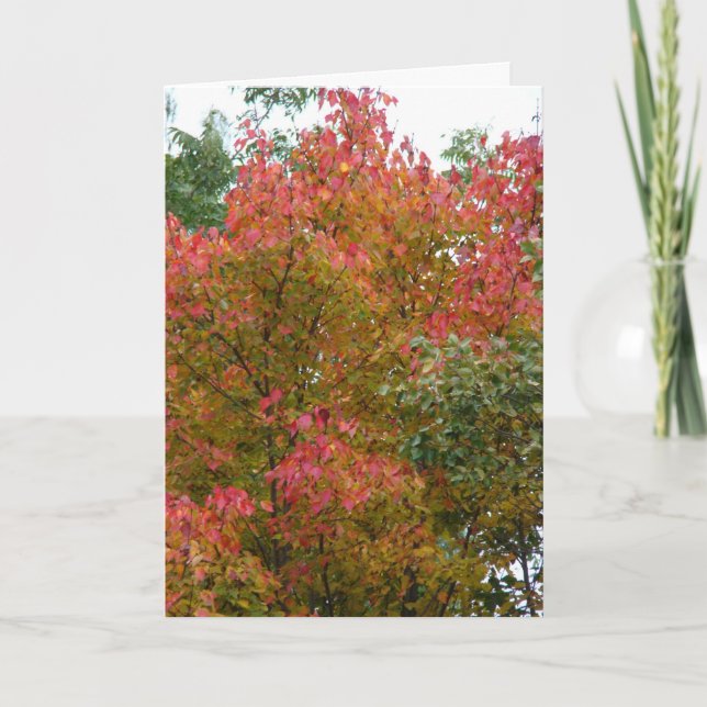 Snygg Träd, Guds skönhet Kort (Framsida)