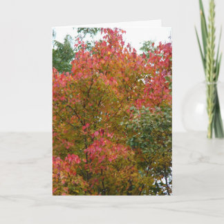 Snygg Träd, Guds skönhet Kort