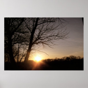 Snygg Träd Sunset liggande foto Poster