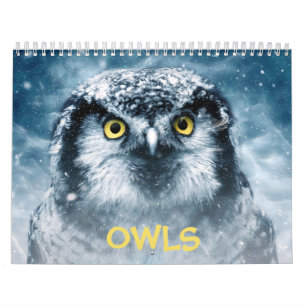 Snygg Uggla Elegant Wall Kalender