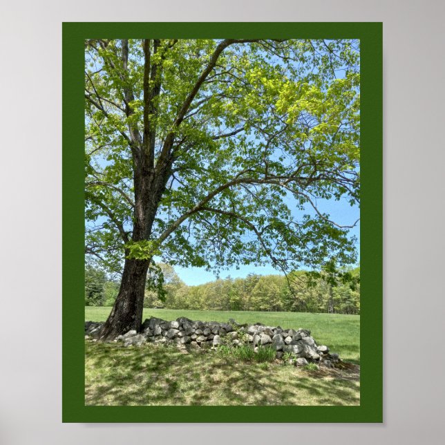 Snygg utskrift av Vår Poster (Framsidan)