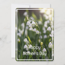 Snygg Vår blommor Mors dag