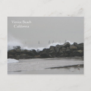 Snygg Venice Beach Postacard! Vykort