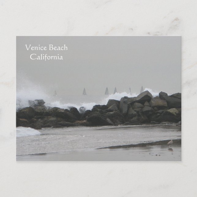 Snygg Venice Beach Postacard! Vykort (Framsida)