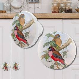 Snygg Vintage Birds Modern Farmhouse Knopp