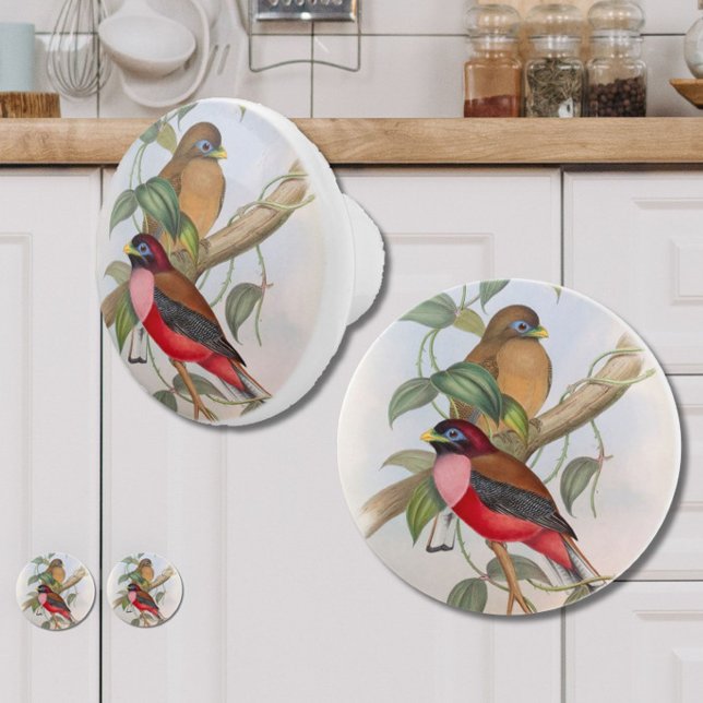 Snygg Vintage Birds Modern Farmhouse Knopp (Add vintage charm and style to your kitchen, bedroom or bathroom with these beautiful bird knobs!)