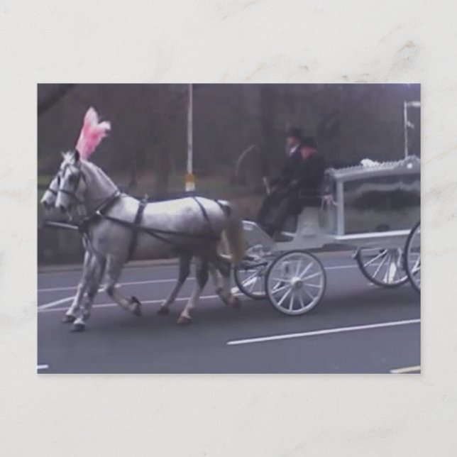 Snygg Vintage Funeral Vykort (Framsida)