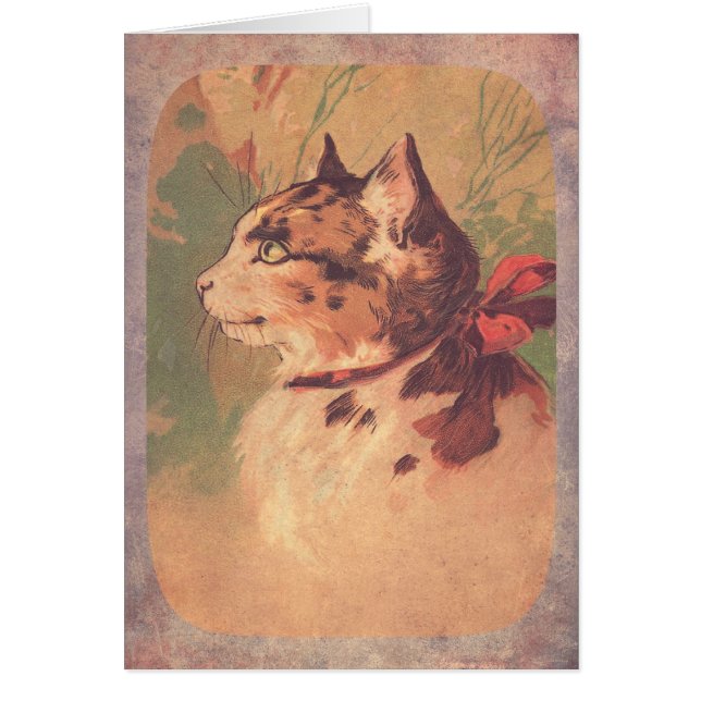 Snygg Vintage Kattunge Hälsningskort (Framsidan)