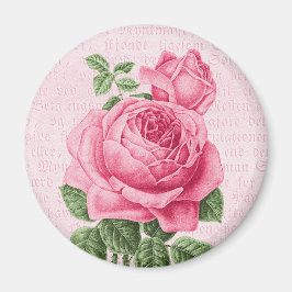 Snygg vintage rosa ros magnet