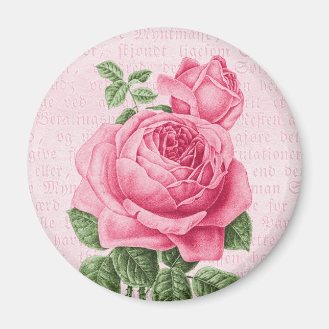 Snygg vintage rosa ros magnet (Framsidan)
