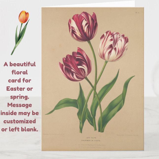 Snygg Vintage Tulips Påsk-kort Kort (A beautiful vintage tulips card for Easter or any occasion.)