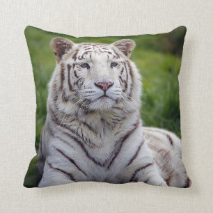 Snygg vit tiger Photo Kudde