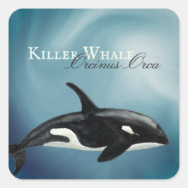 Snygg Watercolor Killer Whale, Orcinus Orca Fyrkantigt Klistermärke