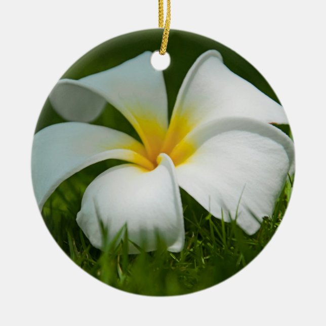 Snygga blommor nära - prydnadsföremål julgransprydnad keramik (Framsidan)