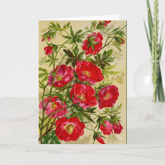 Snygga Cherry Red Vild Ro Notecards Kort (Framsida)