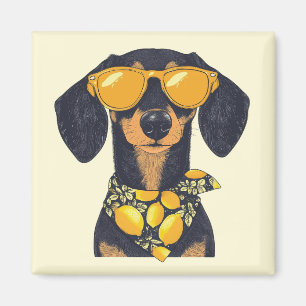 Snygga dachshund hund solglasögon citroner magnet